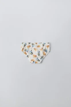 Niños ZARA 1½ - 6 Años·Licencias|1½ - 6 Años·Ropa Interior / Calcetines<2-6 AÑOS/ PACK TRES SLIPS BLUEY © LUDO STUDIO