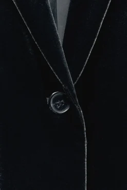 Sale BLAZER TERCIOPELO ZW COLLECTION Mujer Blazers / Chalecos