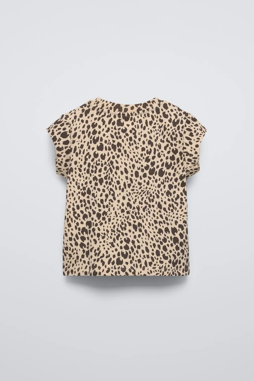 Niños ZARA 6 - 14 Años·Camisetas<CAMISETA ANIMAL PRINT