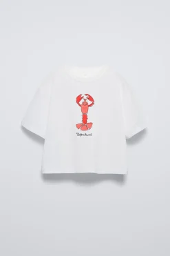 Niños ZARA 6 - 14 Años·Camisetas<CAMISETA BORDADO LANGOSTA