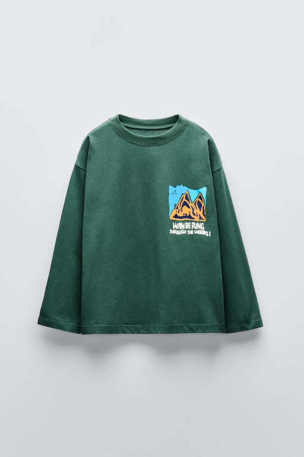 Niños ZARA 6 - 14 Años·Camisetas<CAMISETA ESTAMPADA