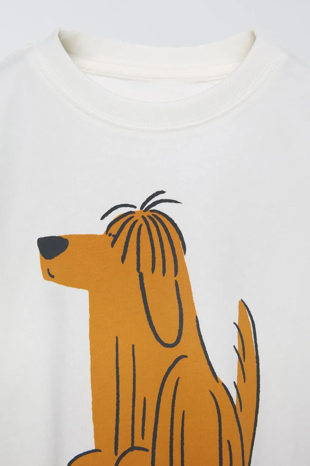 Niños ZARA 1½ - 6 Años·Camisetas|1½ - 6 Años·Camisetas<CAMISETA ESTAMPADO