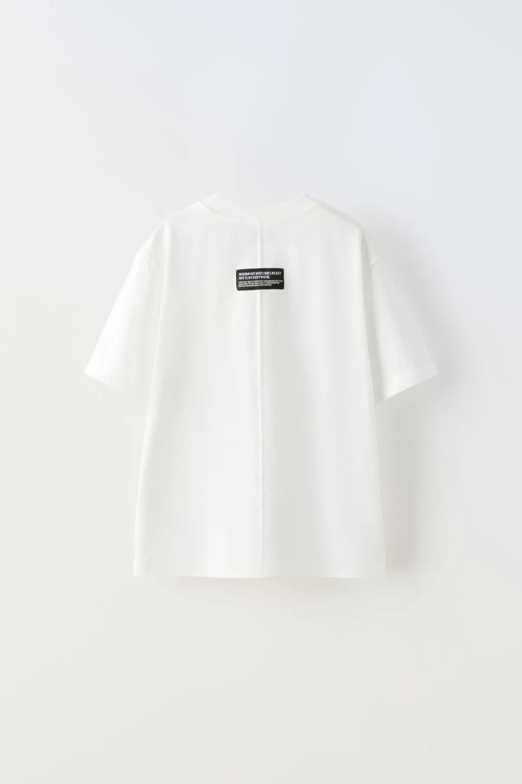 Niños ZARA 6 - 14 Años·Camisetas<CAMISETA ESTAMPADO FLOCK