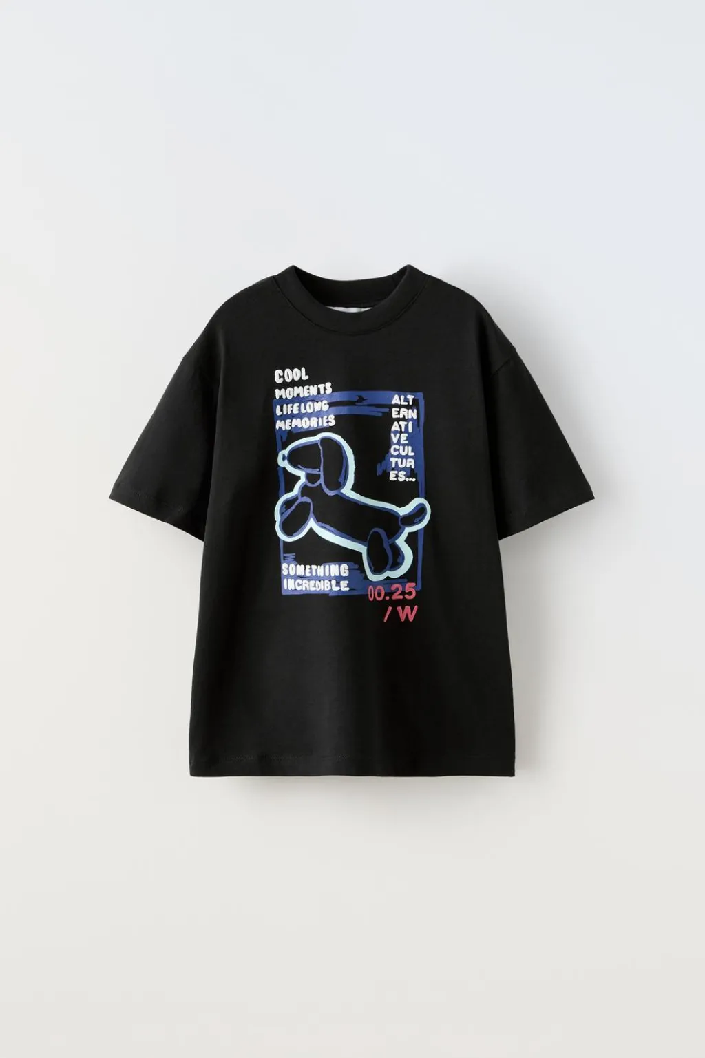 Niños ZARA 6 - 14 Años·Camisetas<CAMISETA ESTAMPADO PERRO GLOBO