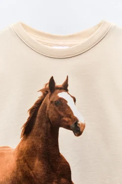 Niños ZARA 6 - 14 Años·Camisetas<CAMISETA FOTOGRAFÍA CABALLO