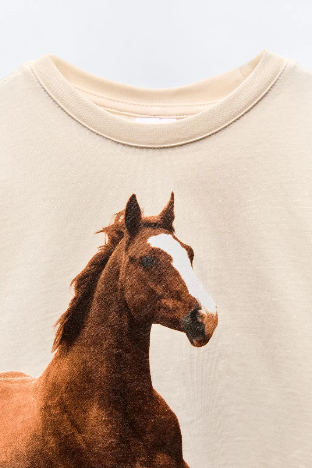 Niños ZARA 6 - 14 Años·Camisetas<CAMISETA FOTOGRAFÍA CABALLO