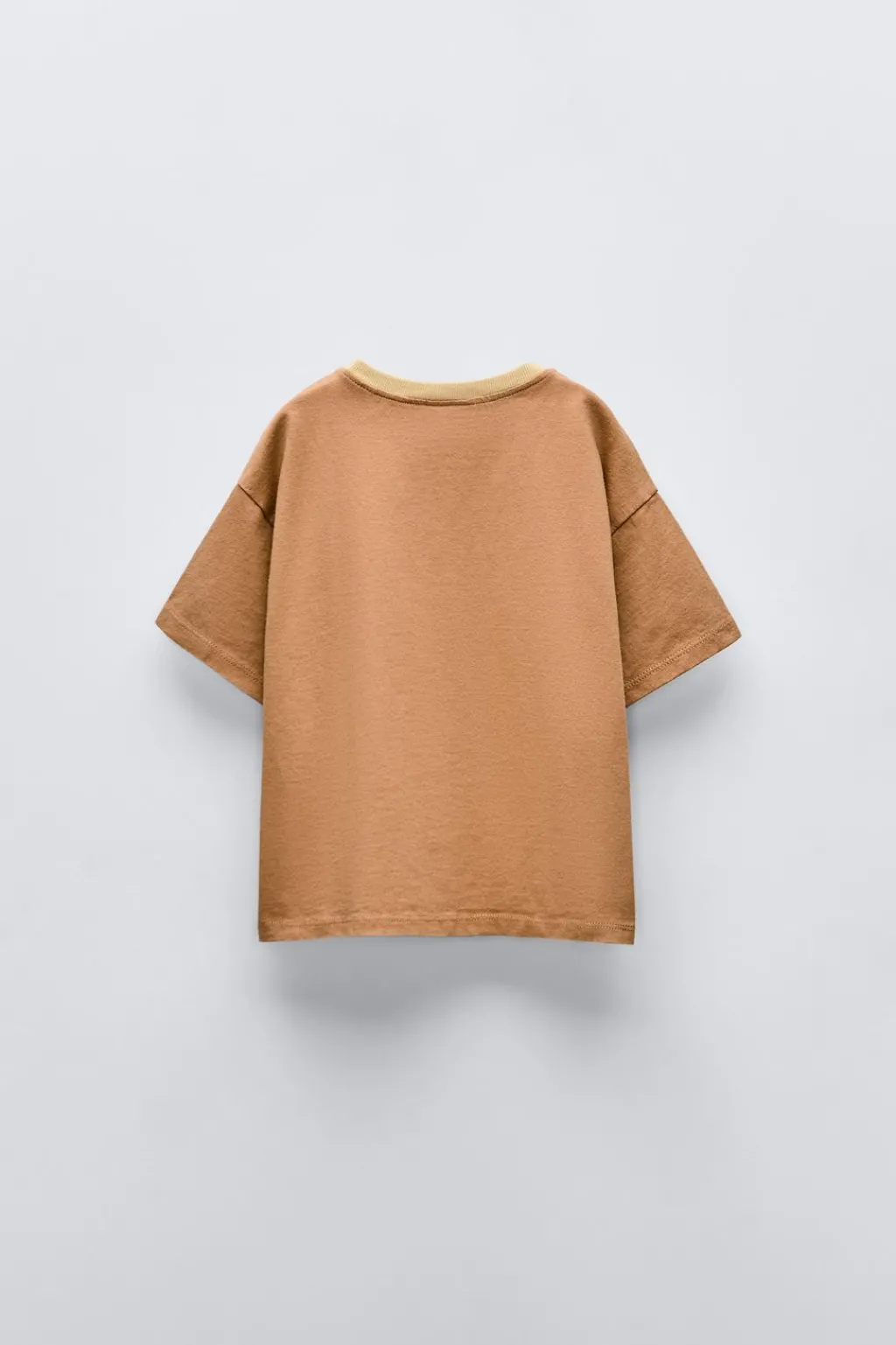 Niños ZARA 1½ - 6 Años·Camisetas|1½ - 6 Años·Camisetas<CAMISETA PEZ BORDADOS