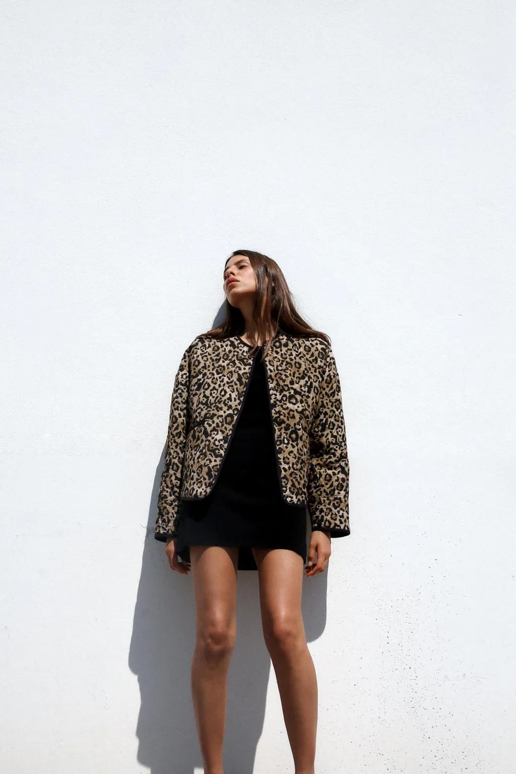 Outlet CAZADORA ACOLCHADA ESTAMPADO ANIMAL Mujer Chaquetas / Cazadoras