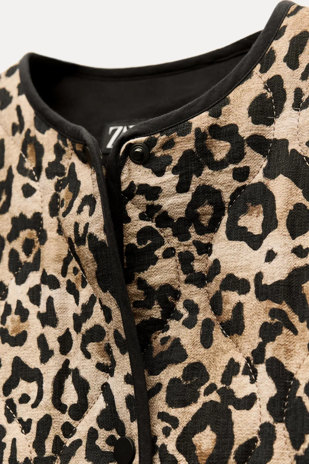 Outlet CAZADORA ACOLCHADA ESTAMPADO ANIMAL Mujer Chaquetas / Cazadoras