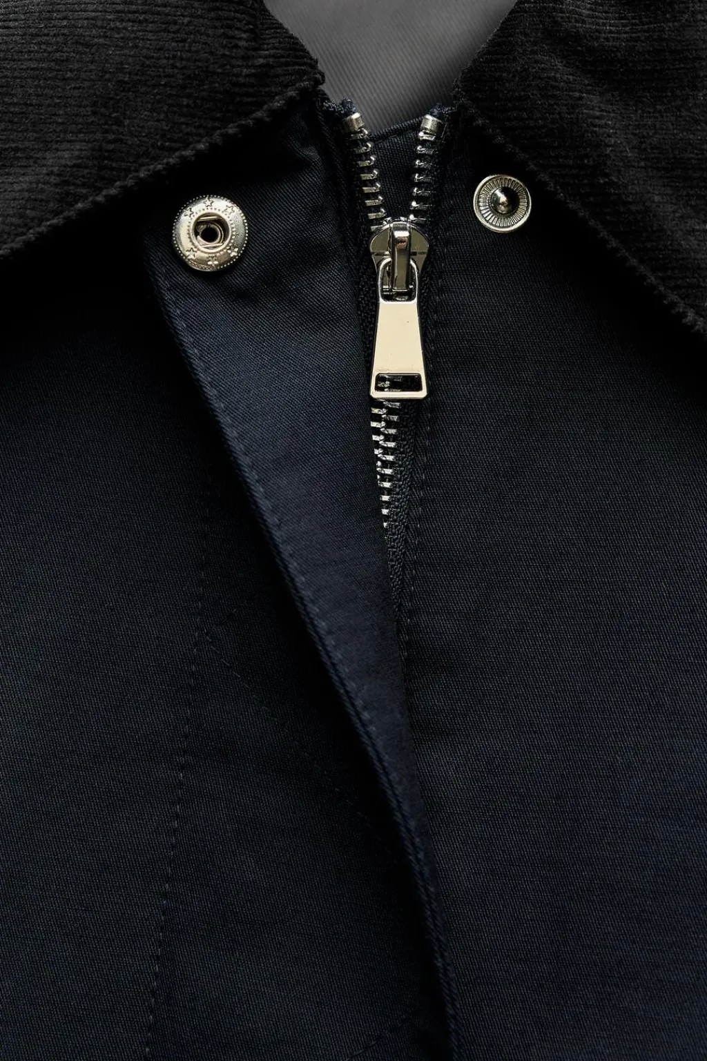 Hot CAZADORA CORTA CUELLO PANA Mujer Chaquetas / Cazadoras