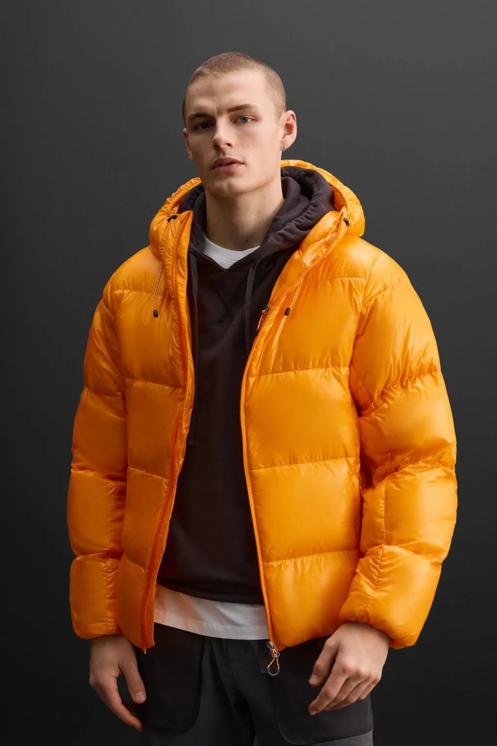 Discount CAZADORA PLUMÍFERO 100% PLUMA Hombre Plumíferos