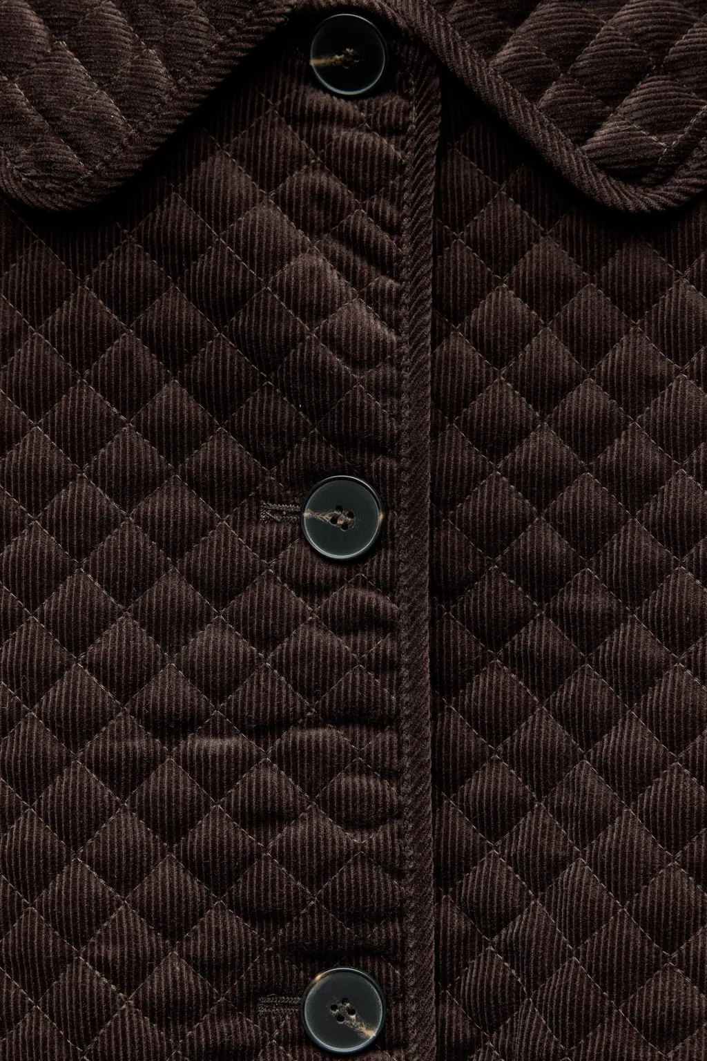 Clearance CHAQUETA ACOLCHADA PANA Mujer Chaquetas / Cazadoras