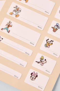 Niños ZARA 1½ - 6 Años·Licencias|1½ - 6 Años·Accesorios<PEGATINAS TERMOADHESIVAS © DISNEY