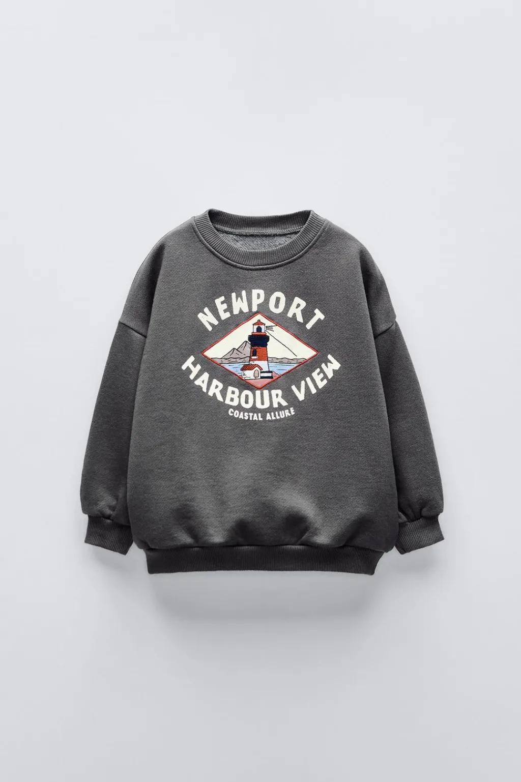 Niños ZARA 1½ - 6 Años·Sudaderas|1½ - 6 Años·Sudaderas<SUDADERA BORDADO FARO