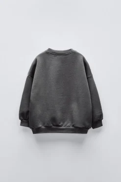 Niños ZARA 1½ - 6 Años·Sudaderas|1½ - 6 Años·Sudaderas<SUDADERA BORDADO FARO