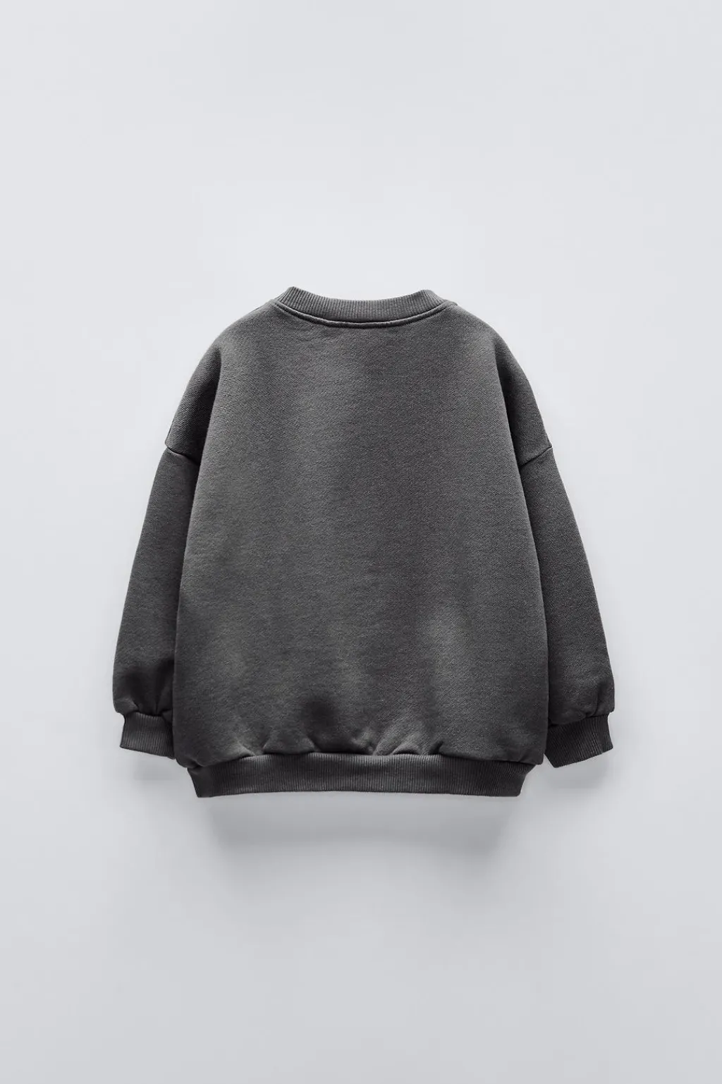 Niños ZARA 1½ - 6 Años·Sudaderas|1½ - 6 Años·Sudaderas<SUDADERA BORDADO FARO