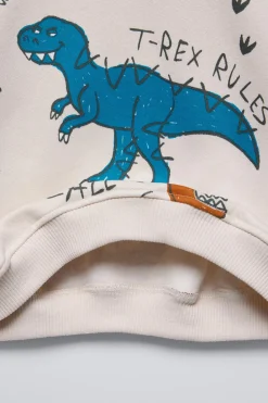 Niños ZARA 1½ - 6 Años·Sudaderas|1½ - 6 Años·Sudaderas<SUDADERA DINOSAURIOS