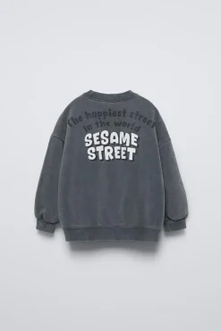 Niños ZARA 1½ - 6 Años·Sudaderas|1½ - 6 Años·Licencias<SUDADERA EFECTO LAVADO BARRIO SÉSAMO ©