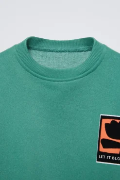 Niños ZARA 1½ - 6 Años·Sudaderas|1½ - 6 Años·Sudaderas<SUDADERA ESTAMPADO FLOCK