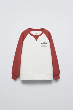 Niños ZARA 6 - 14 Años·Sudaderas<SUDADERA MANGAS CONTRASTE