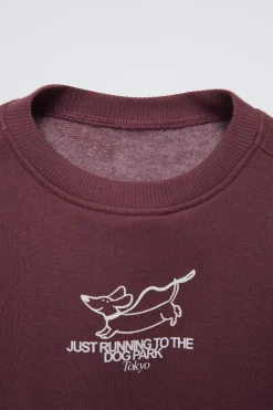 Niños ZARA 1½ - 6 Años·Sudaderas|1½ - 6 Años·Sudaderas<SUDADERA PERRO
