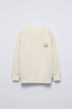 Niños ZARA 6 - 14 Años·Sudaderas<SUDADERA TEXTO FLOCK